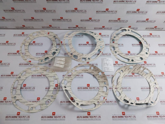 C-4430 Bottom Gasket Kit For Rotatory Vacuum Pump Klingersil (1 Kit = 6 Pcs)