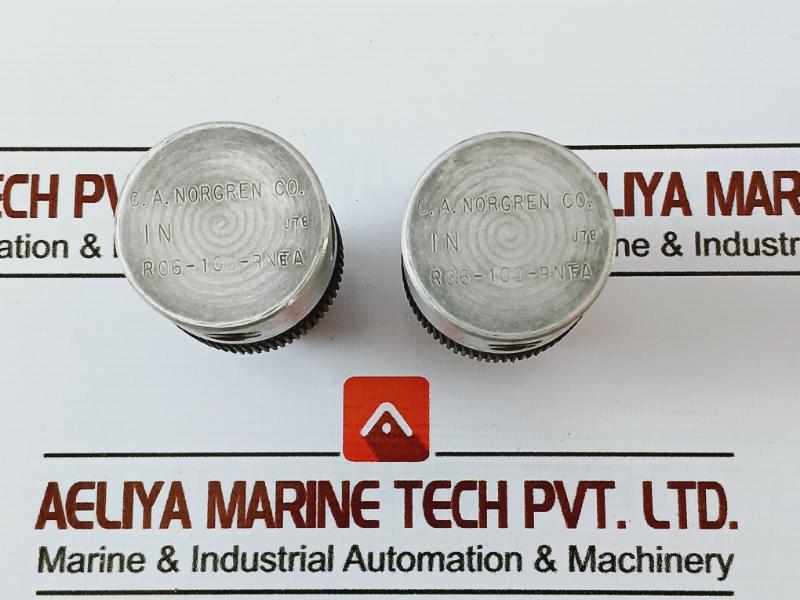 C.a. Norgren R06-100-rnka Miniature Water/air Regulator