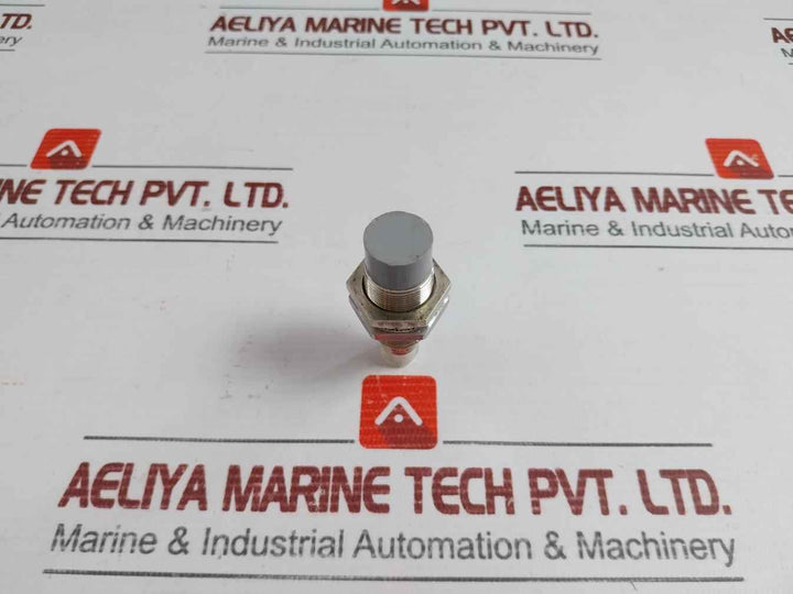 C29-213L Inductive Proximity Sensor Mikrosen