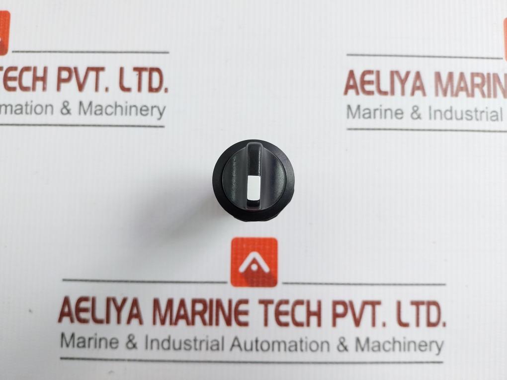 C2Ss2-10B-11 Selector Switch Abb