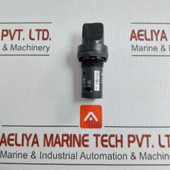C2Ss2-10B-11 Selector Switch Abb