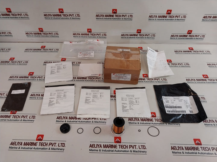 Cameron 2020810-01-99 1/8” Solenoid Valve With Coil Repair Kit 2232325-01