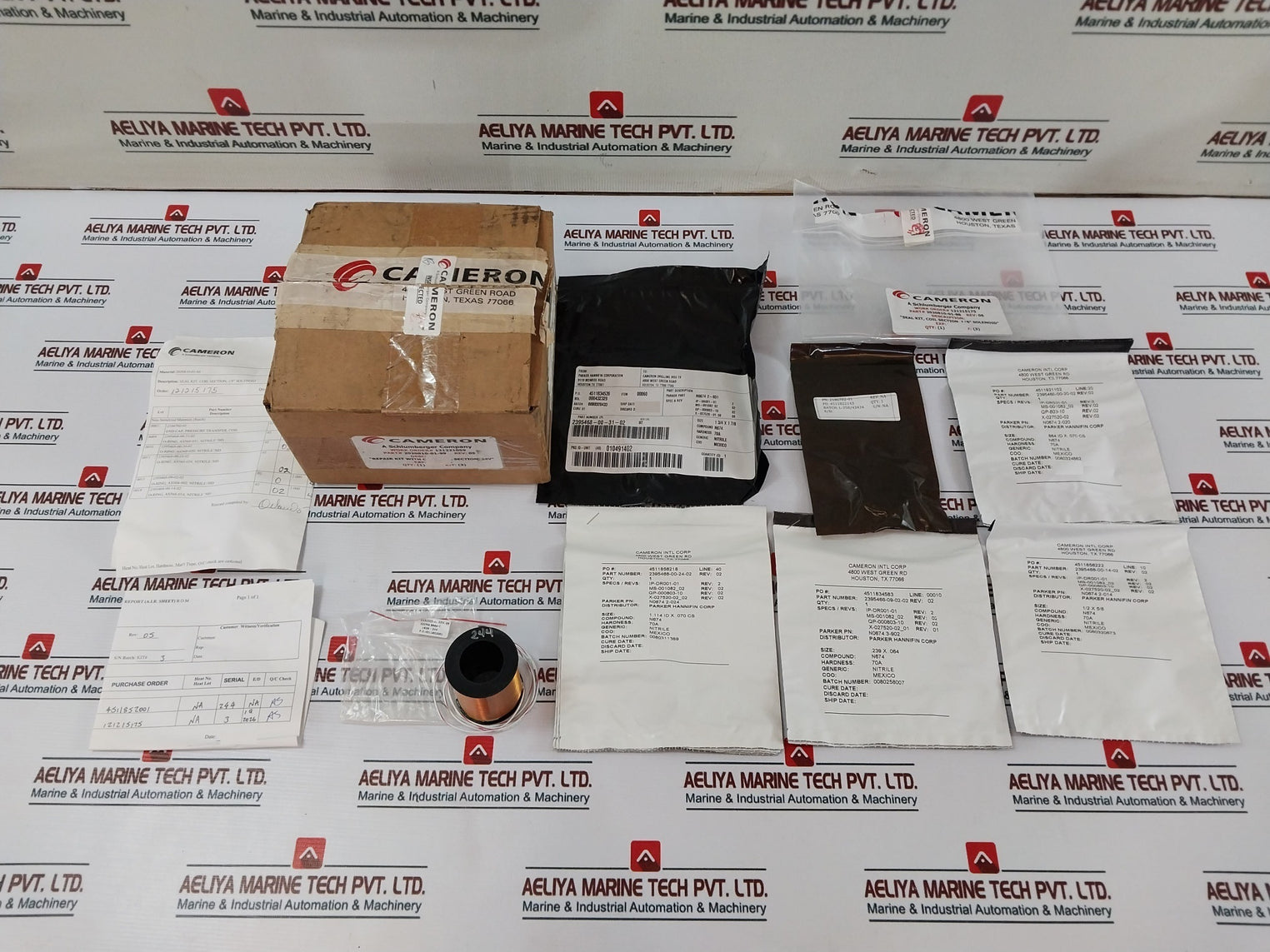 Cameron 2020810-01-99 Pressure Solenoid Valve Coil Repair Kit Rev.09