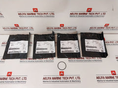 Cameron 2406437-01-99 Repair Kit, Drg Valve, 1/2" 5 Ksi Wp