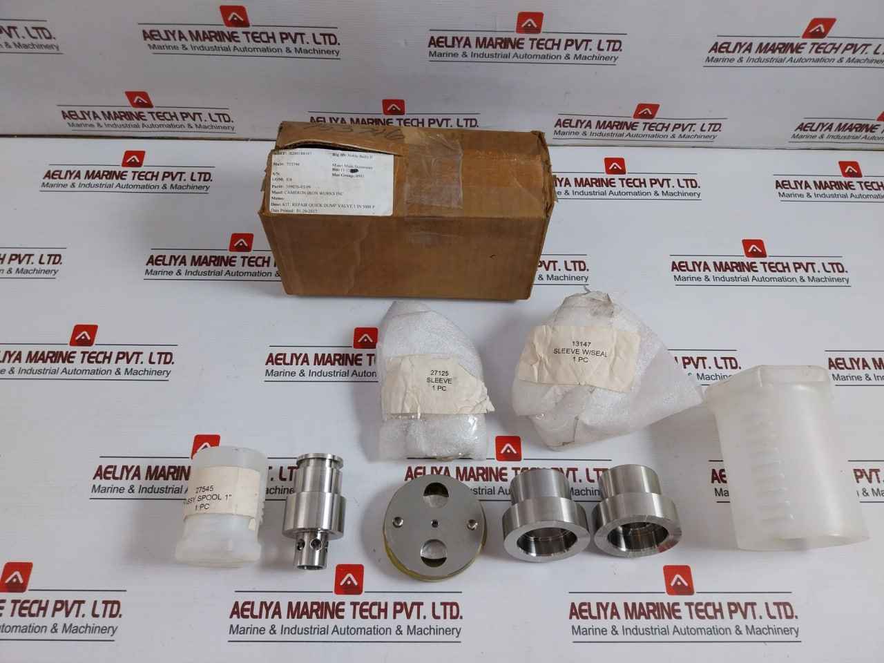 Cameron 309076-03-99 Quick Dump Valve Repair Kit 13147, 27125, 27545