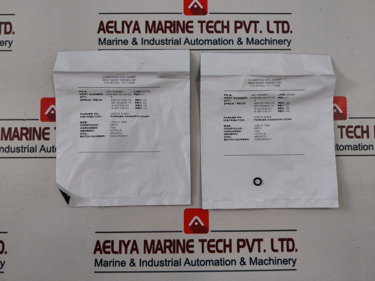 Cameron 2020810-01-88 Repair Kit With Coil 24V