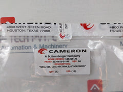 Cameron 2020810-01-88 Repair Kit With Coil 24V