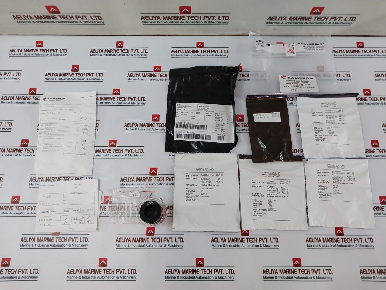 Cameron 2020810-01-99 Pressure Solenoid Valve Coil Repair Kit Rev.09