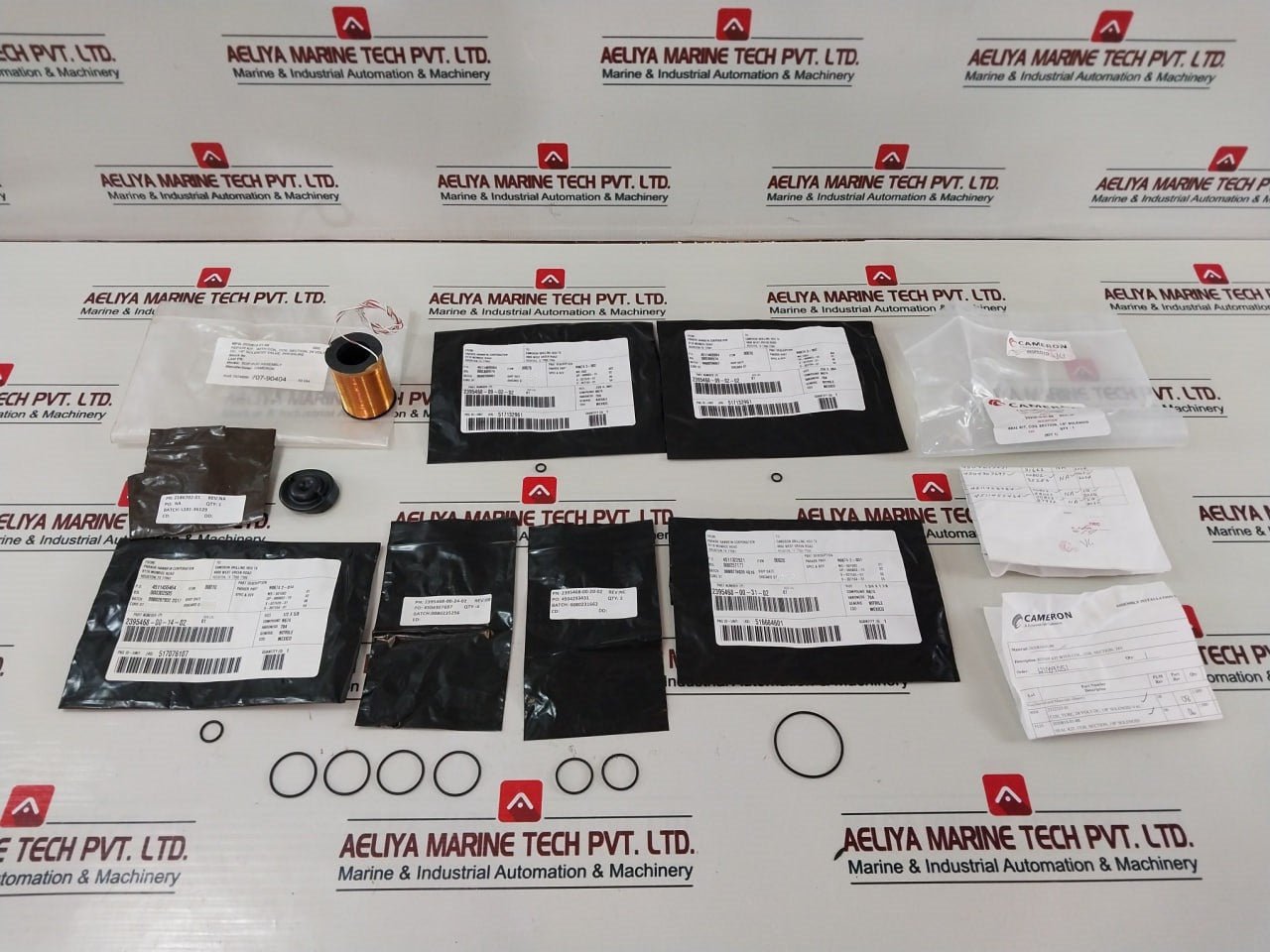 Cameron 2020810-01-99 Solenoid Valve With Coil, Section Seal Repair Kit