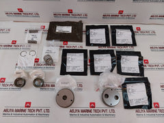 Cameron 2185610-02-99 Valve Repair Kit