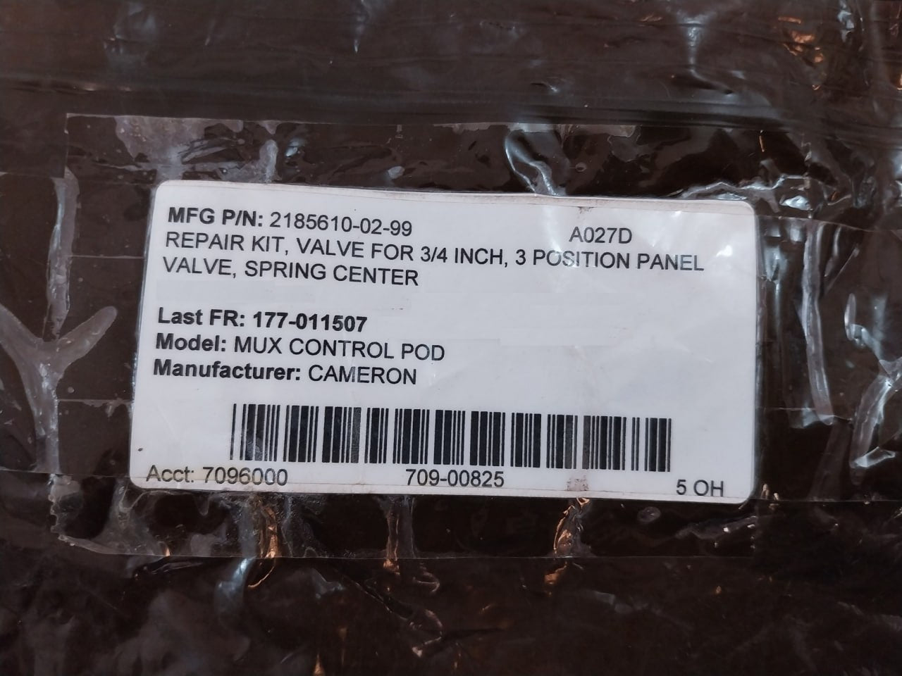 Cameron 2185610-02-99 Valve Repair Kit