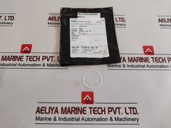 Cameron 2185610-02-99 O-ring Valve Repair Kit 2185018-00-08