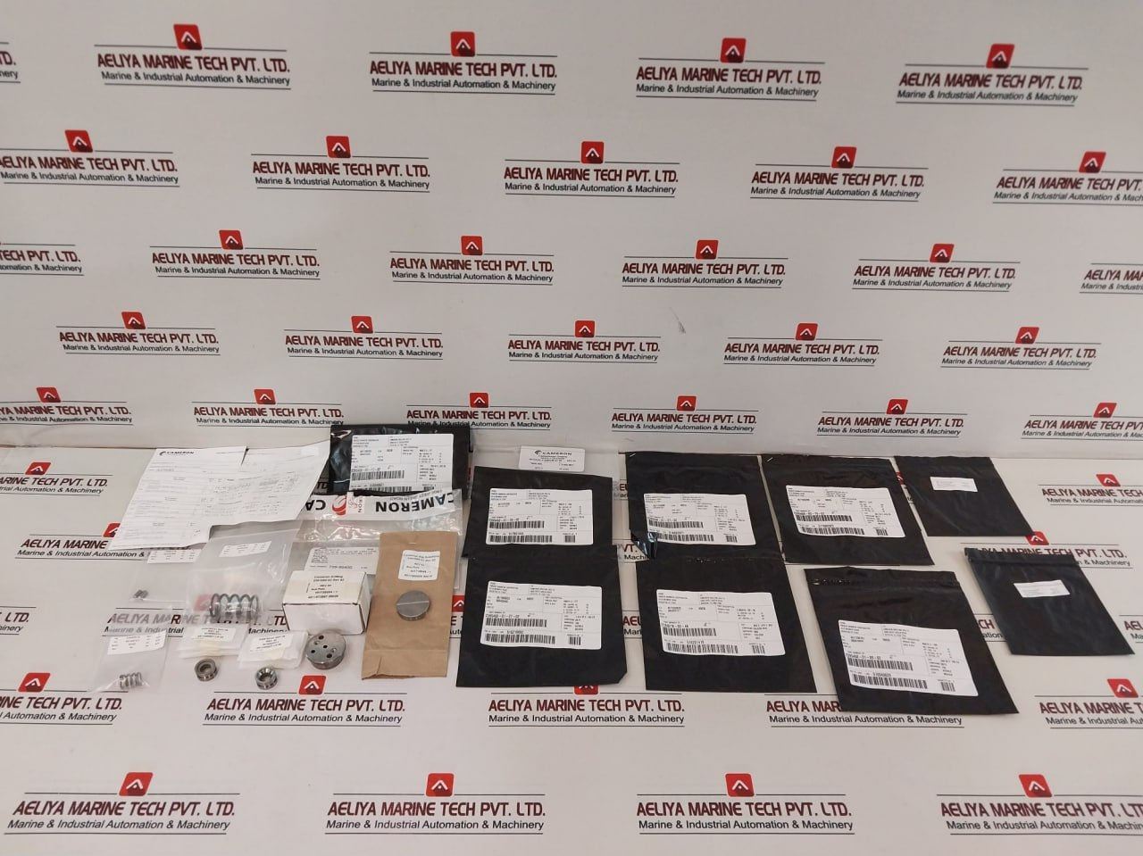 Cameron 2406436-31-88 1/4” Drg Seal Valve Repair Kit 2391050-02