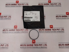 Cameron 2408830-24-01-99 Valve Repair Kit 2408831-01