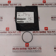 Cameron 2408830-24-01-99 Valve Repair Kit 2408831-01