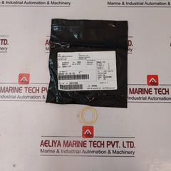 Cameron 2408830-24-01-99 Valve Repair Kit 2408831-01