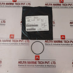 Cameron 2408830-24-01-99 Valve Repair Kit 2408831-01
