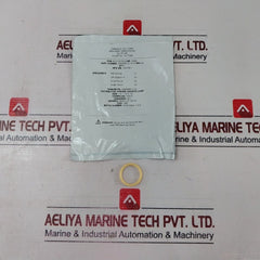 Cameron 2408830-24-01-99 Valve Repair Kit 2408831-01