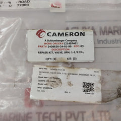 Cameron 2408830-24-01-99 Valve Repair Kit 2408831-01