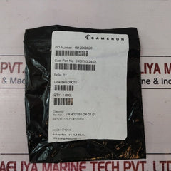 Cameron 2408830-24-01-99 Valve Repair Kit 2408831-01