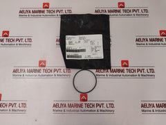 Cameron 2408830-24-01-99 Valve Repair Kit 2408831-01