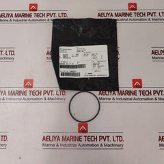 Cameron 2408830-24-01-99 Valve Repair Kit 2408831-01