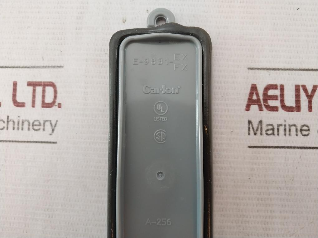 Carlon E-9831-ex/Fx Non-metallic Conduit Body A-256 10153871 A020D 12Mx