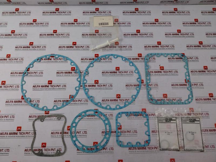 Carrier 38AQ 680 001 Plate Spring Top/Bottom Airhead Valve/Gasket Kit LF18-094