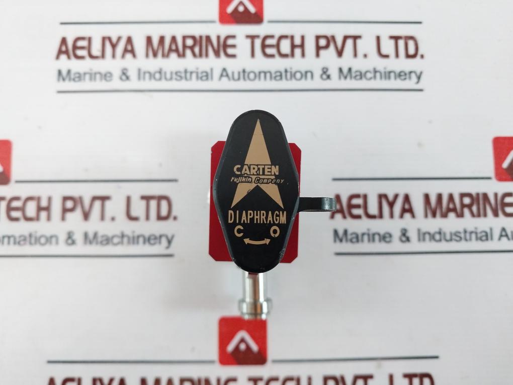 CARTEN CMDQ250 Diaphragm Valve