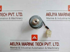 Ce20 Electronic Pressure Switch 0-3 Kgf/Cm2 24Vdc Nagano Keiki