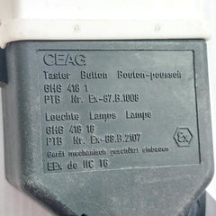 Ceag Digital Panel Mount Indicator Ghg 418 1805 R5