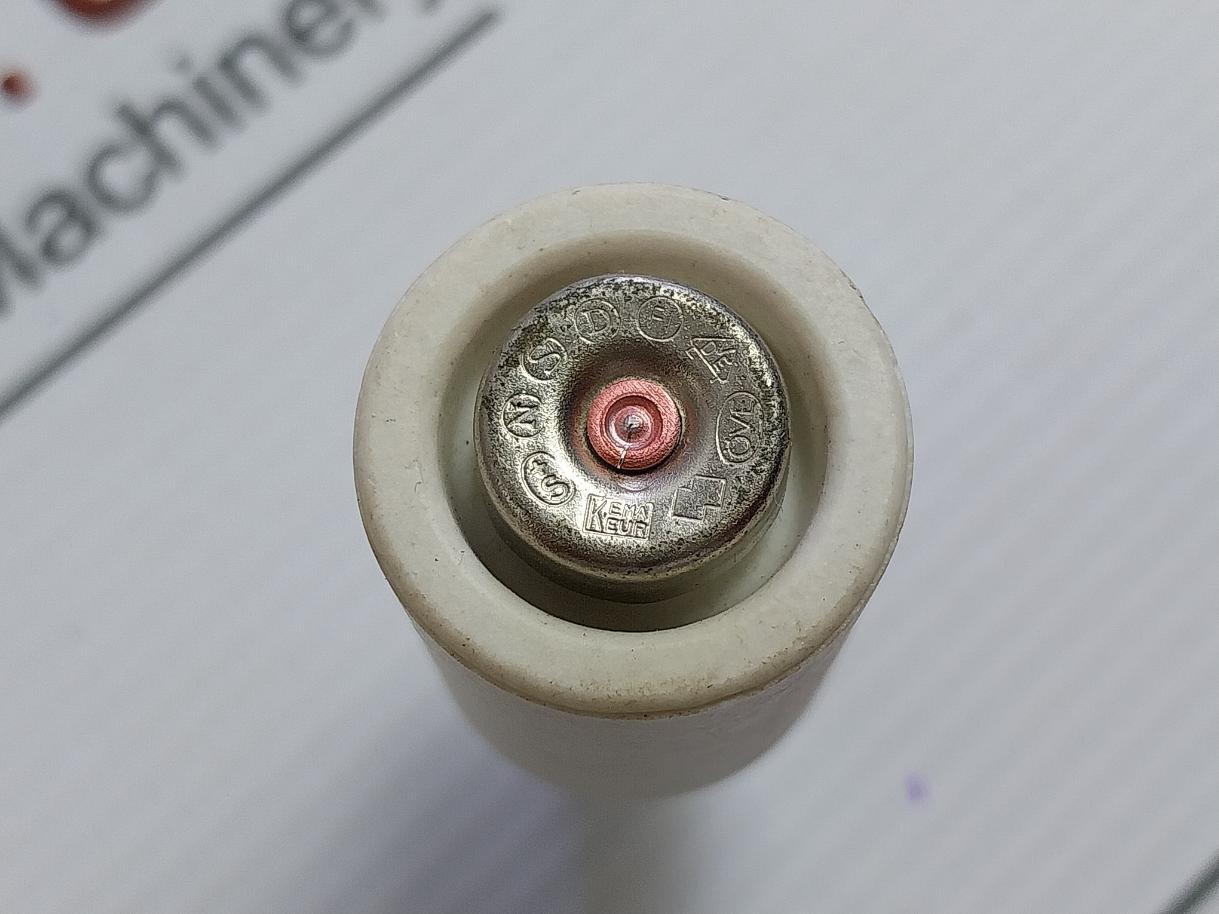 Cee16 Time Lag Diazed Fuse Link By Ifo Electric 10A 500V (1 Box = 4 Pcs)