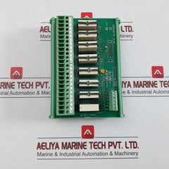 Cegelec Mae 95-06 Digital Output Terminal Module