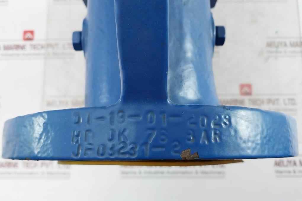 Celeros Flow Technology Sxcs-0300A1-v Simplex Type S Single Basket Strainer 38 C