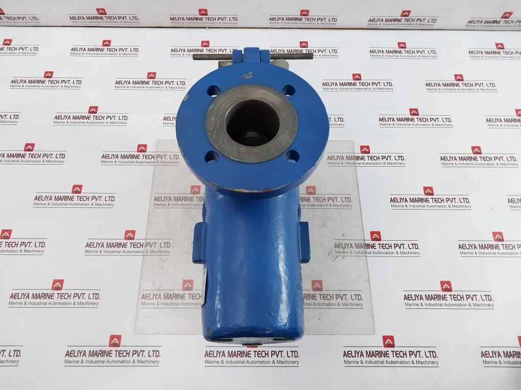 Celeros Flow Technology Sxcs-0300A1-v Simplex Type S Single Basket Strainer 38 C