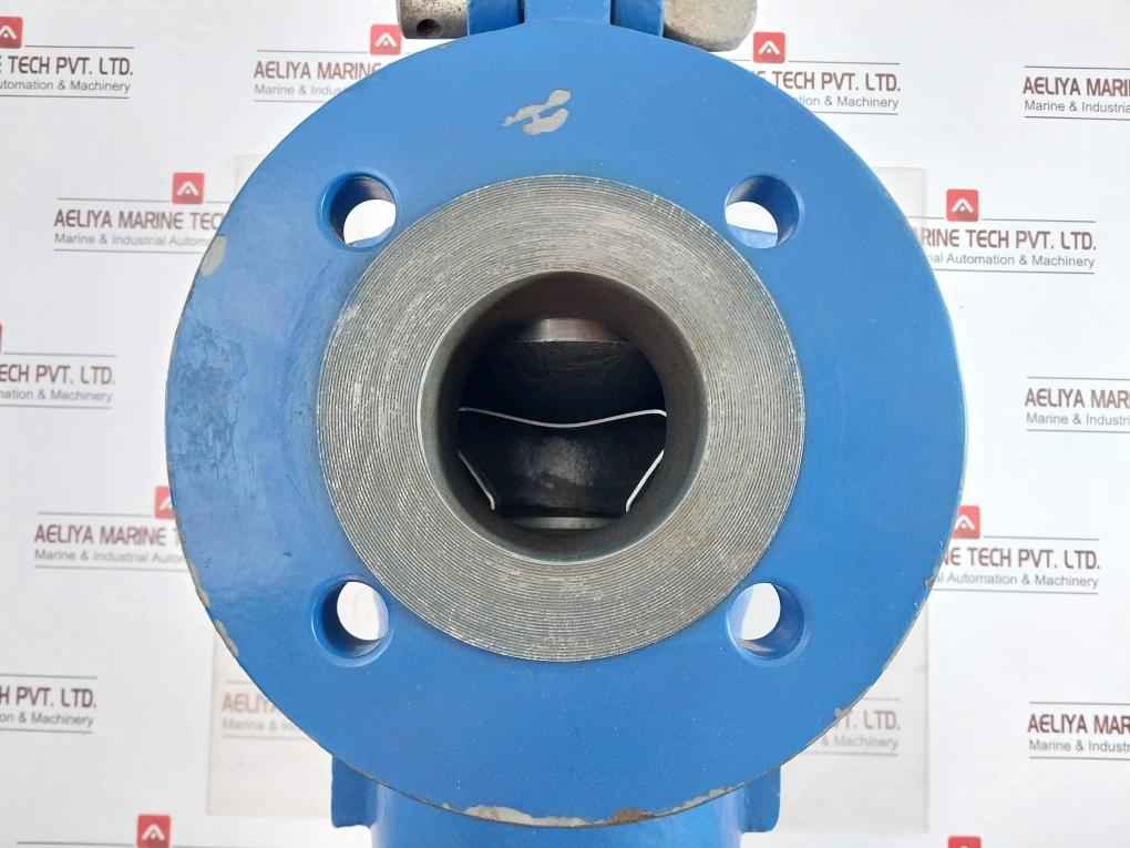 Celeros Flow Technology Sxcs-0300A1-v Simplex Type S Single Basket Strainer 38 C