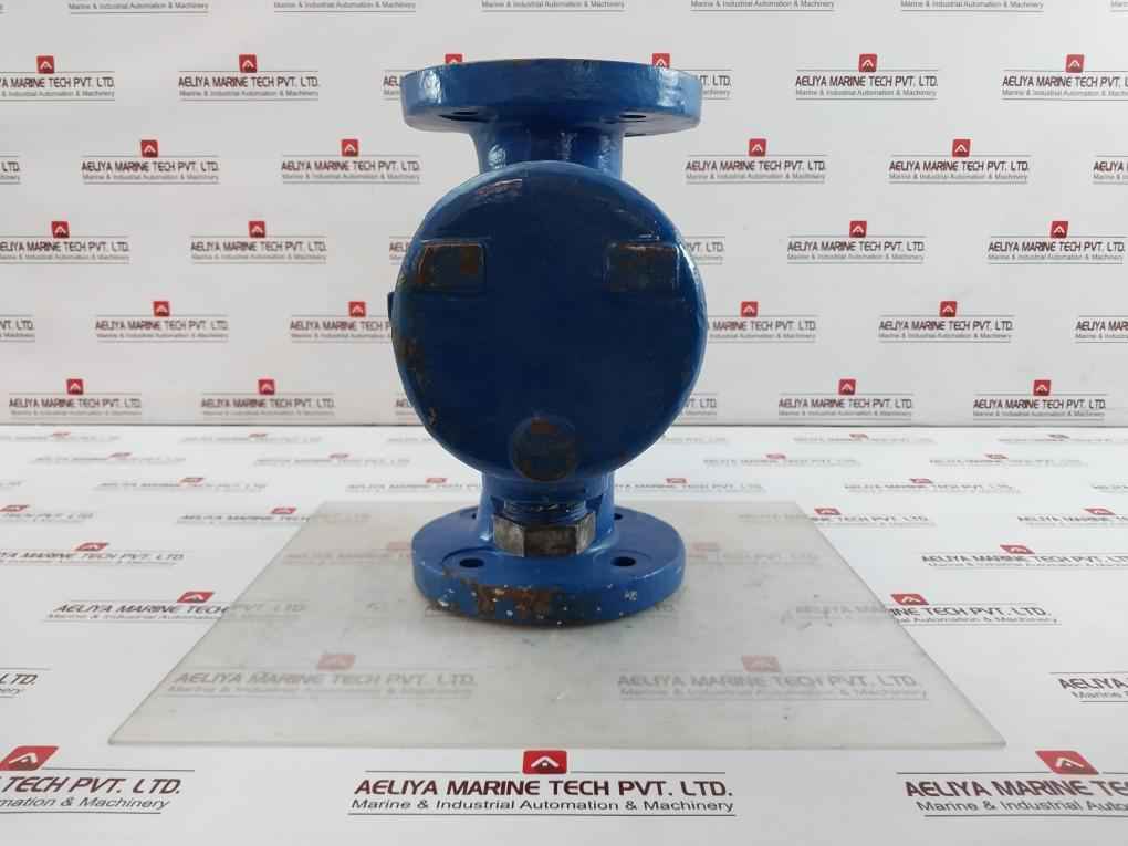 Celeros Flow Technology Sxcs-0300A1-v Simplex Type S Single Basket Strainer 38 C
