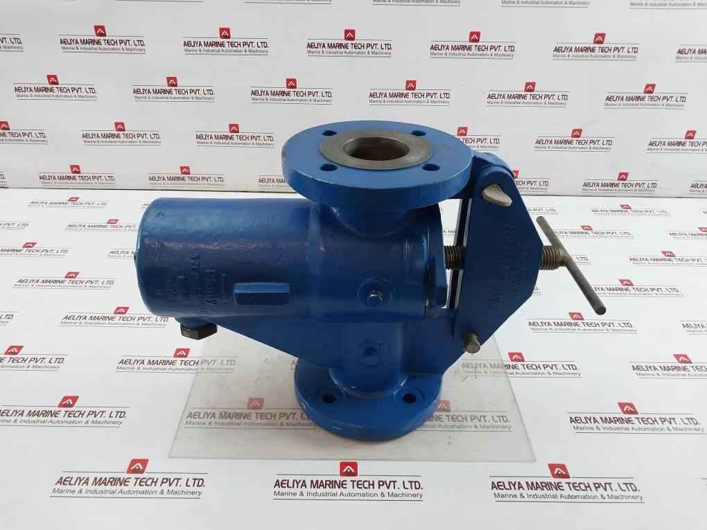 Celeros Flow Technology Sxcs-0300A1-v Simplex Type S Single Basket Strainer 38 C