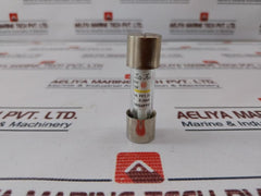 Lot of 5X Cello-lite Fuse Nc1, 3a 250v