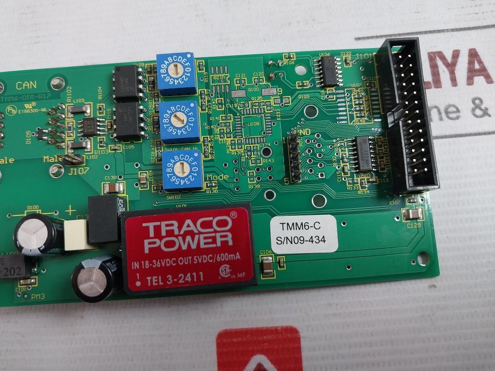 Centrotherm Tmm6-dig-r17 Printed Circuit Board E198300-ml
