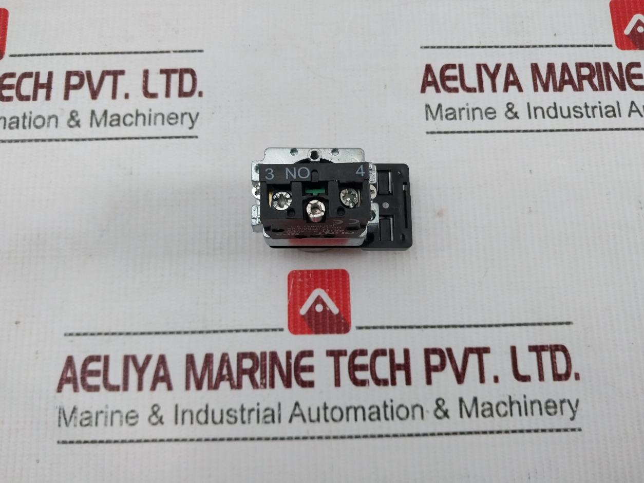 Chint Np2 Be101 Pushbutton Switch Iec 60947-5-1 220V 4.5A