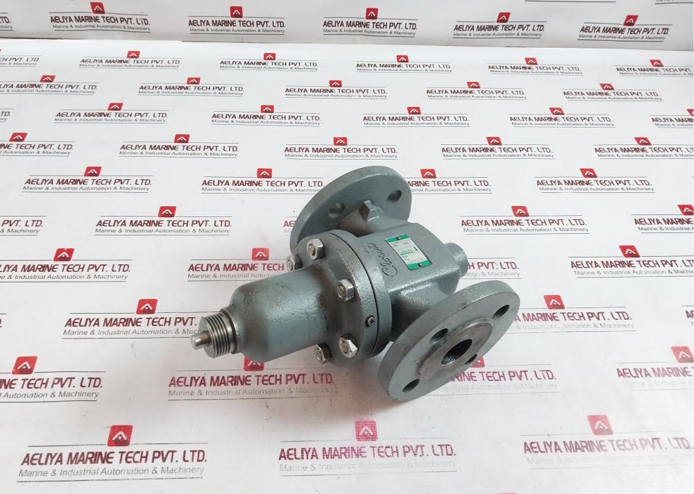 Clorius Controls M1Fb2210541 2-ways Control Valve