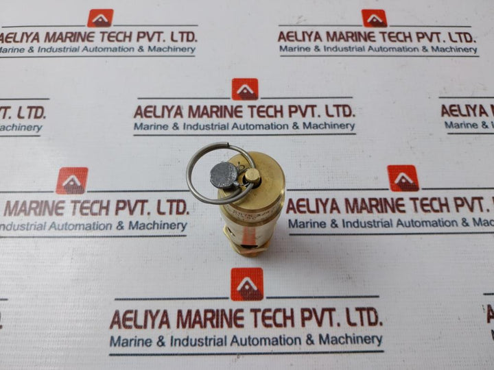 Control Devices SB75 3/4 NPT Air Safety Valve 50 PSI
