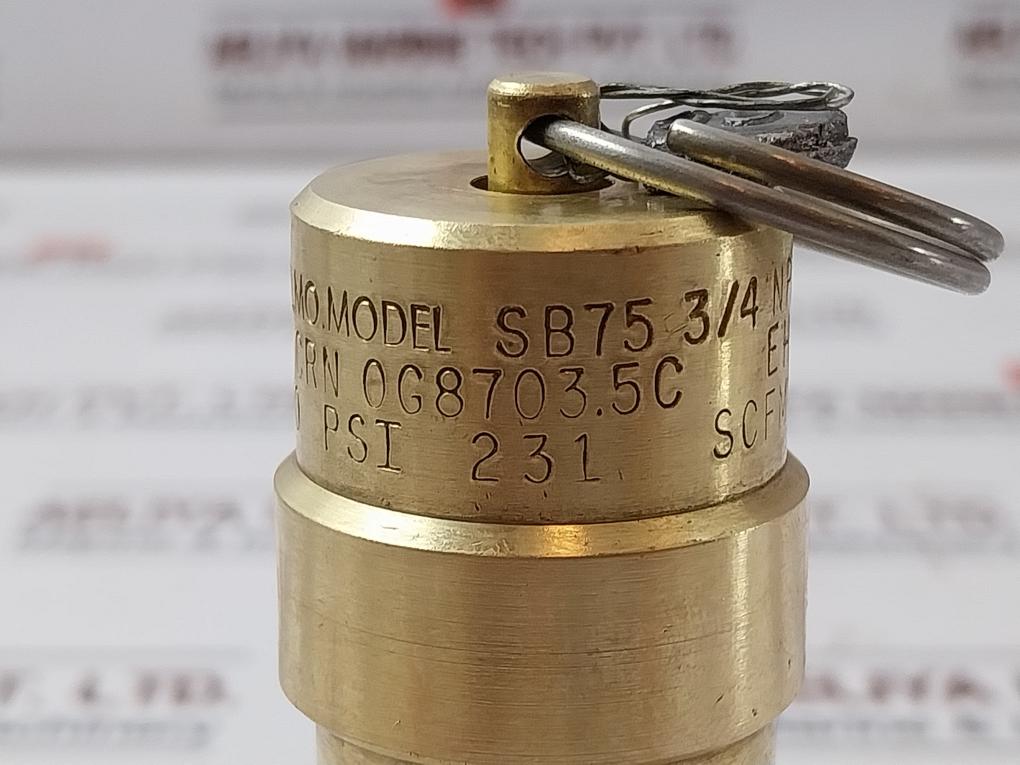 Control Devices Sb75 3/4 Npt Air Safety Valve 50 Psi