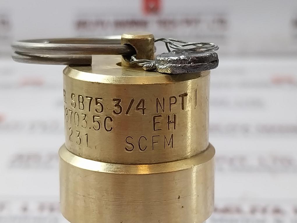 Control Devices SB75 3/4 NPT Air Safety Valve 50 PSI