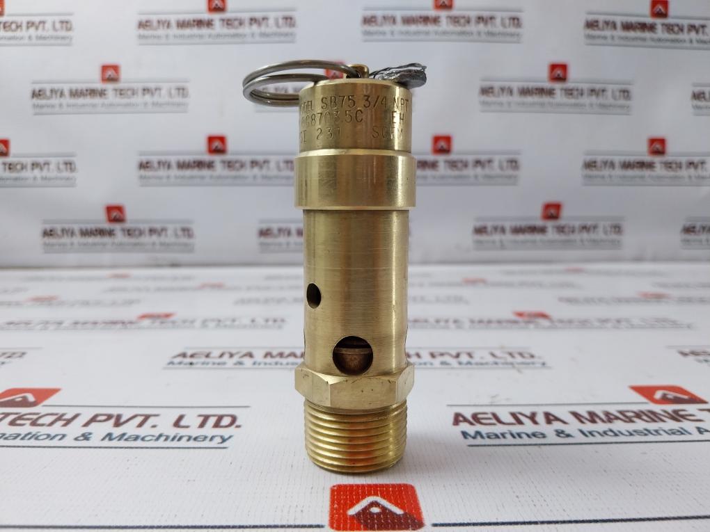 Control Devices Sb75 3/4 Npt Air Safety Valve 50 Psi