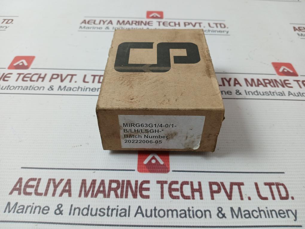 Control Process Mirg63G1/4-0/1-b/Lh/Lsgh Stainless Steel Pressure Gauge 0-1 Bar