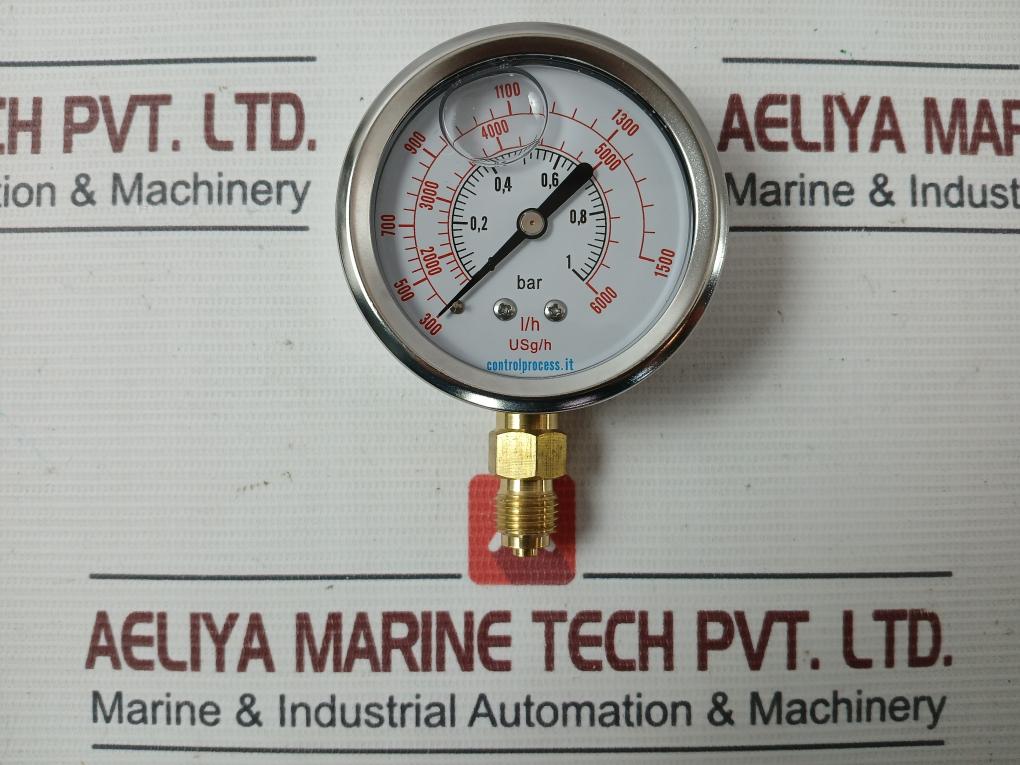 Control Process Mirg63G1/4-0/1-b/Lh/Lsgh Stainless Steel Pressure Gauge 0-1 Bar