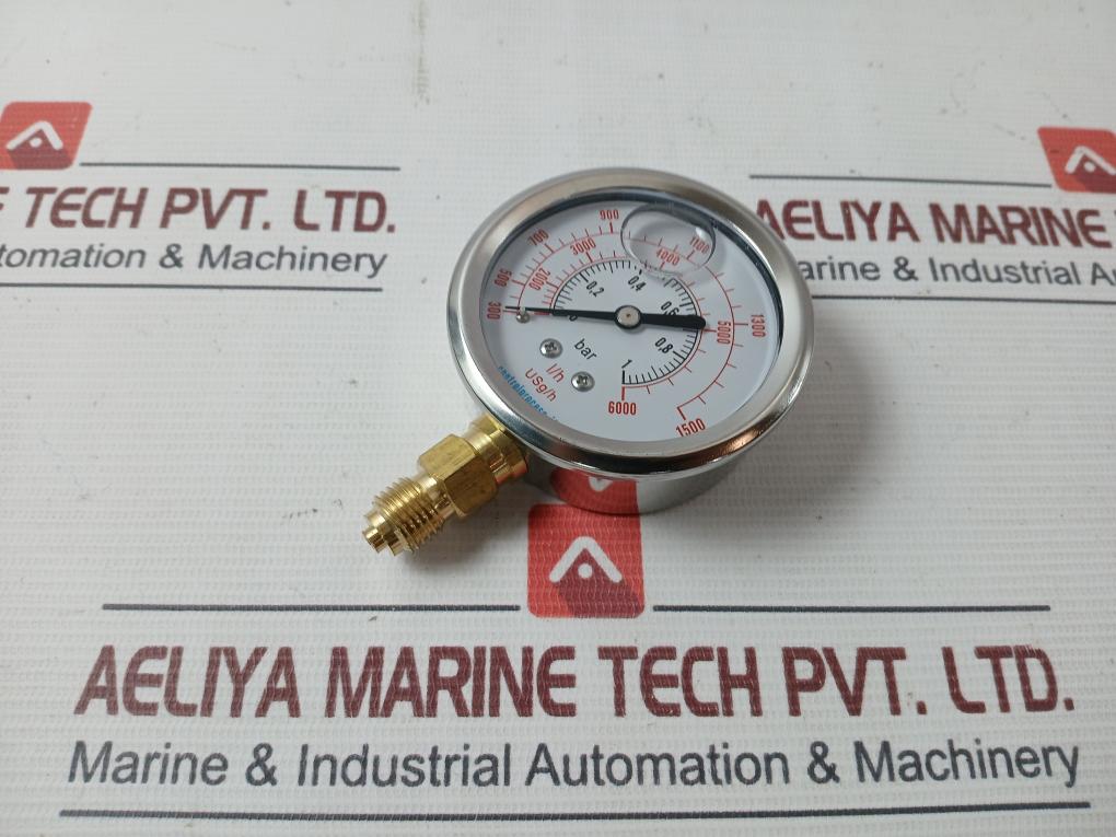 Control Process Mirg63G1/4-0/1-b/Lh/Lsgh Stainless Steel Pressure Gauge 0-1 Bar