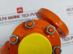 Control Valve H1F Clorius 32-m